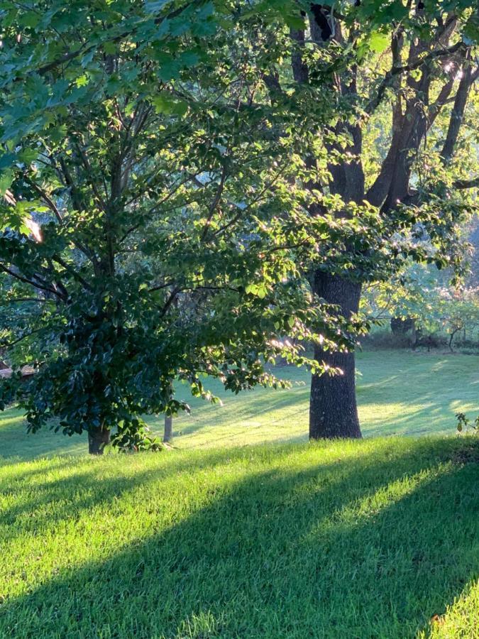 Bio & B - Italyke Bed & Breakfast Viterbo Luaran gambar